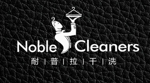 耐普拉干洗——標(biāo)志設(shè)計(jì) 耐普拉干洗——標(biāo)志設(shè)計(jì)