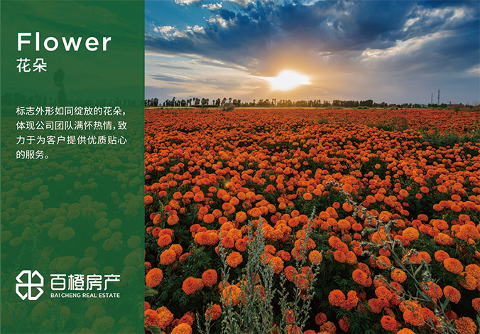 logo設計  公司logo設計  企業標志設計  百橙房產